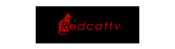 레드캣TV